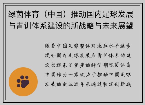 绿茵体育（中国）推动国内足球发展与青训体系建设的新战略与未来展望